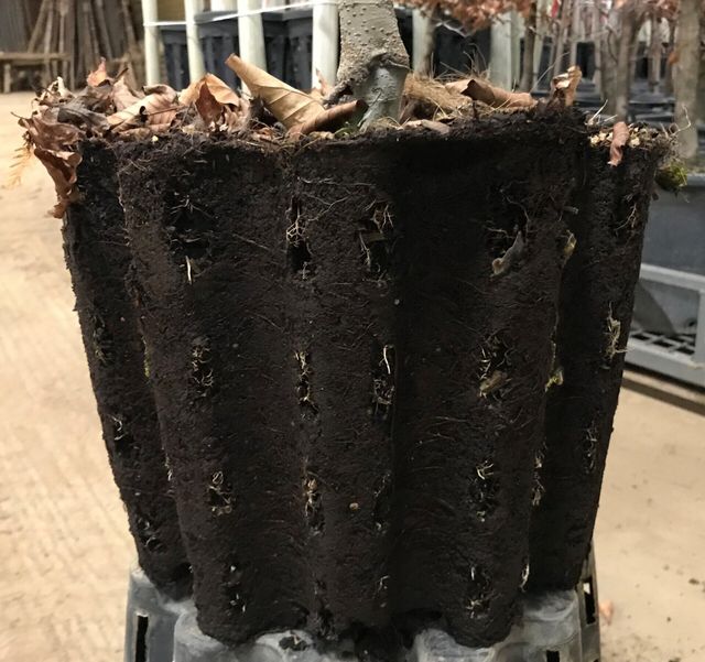 Ercole Air Pot - Accelerated Growth Nursery Pot