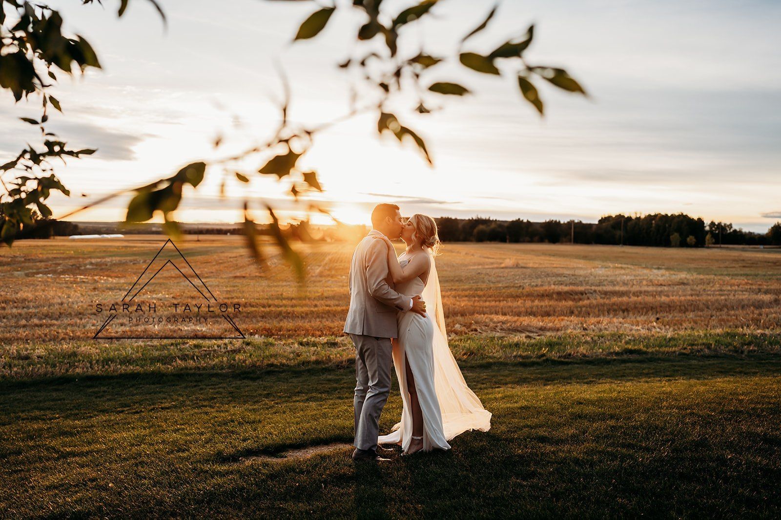 Alberta Wedding Photographer