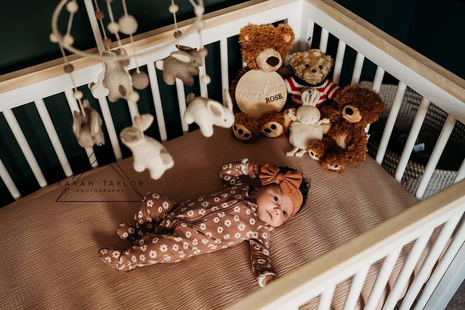 cochrane newborn photo session at home