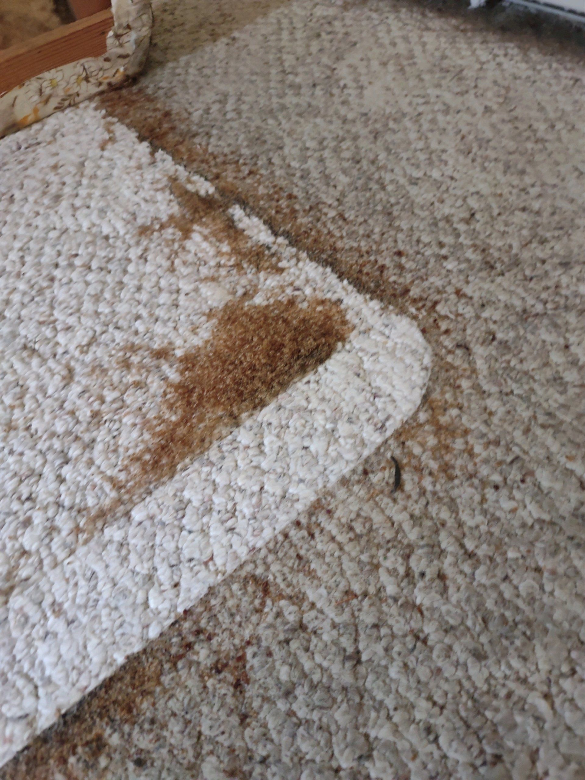 A close up of a carpet with a stain on it.
