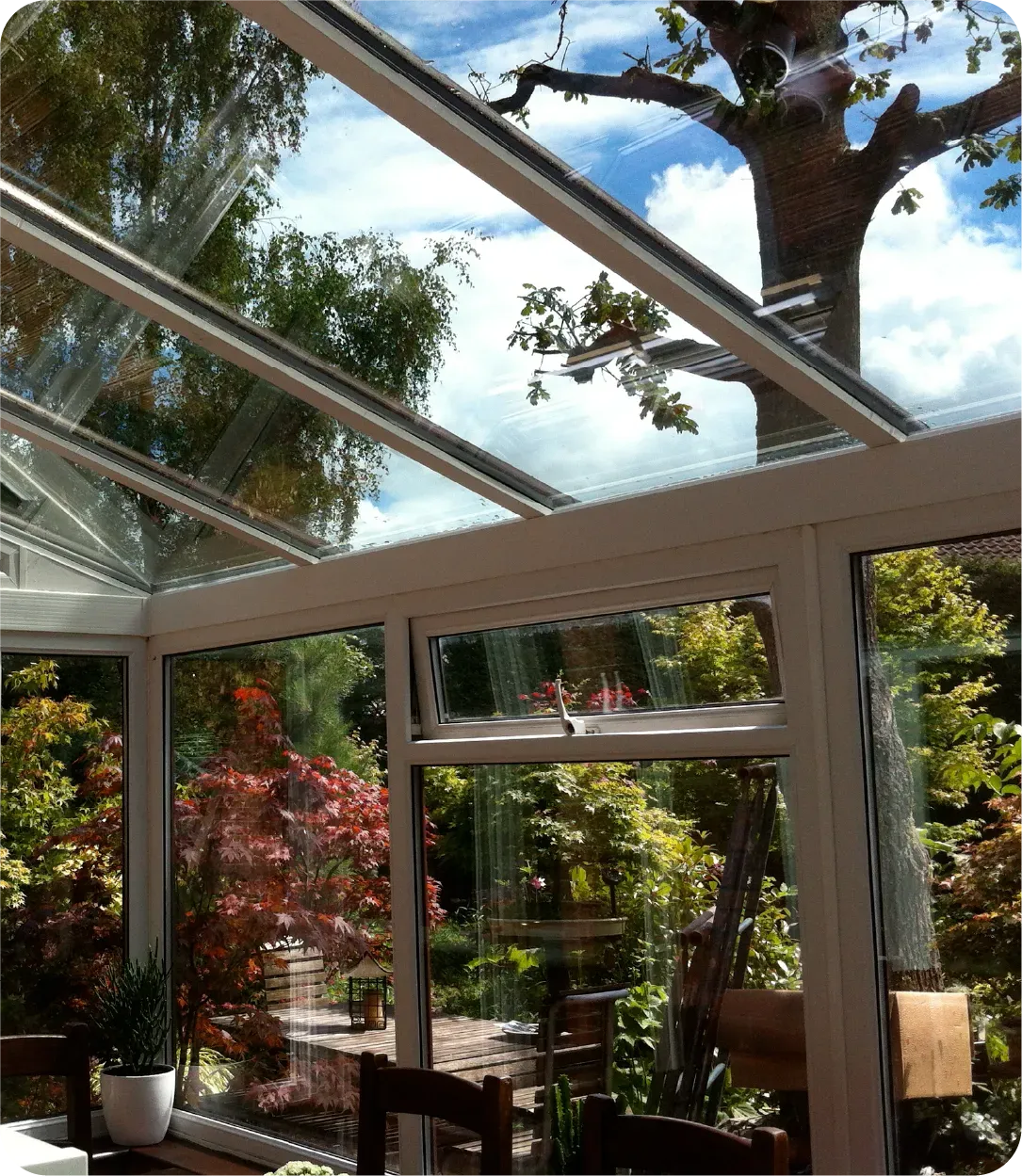 A glass conservatory with a tree in the background