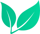 A pair of green leaves on a white background.