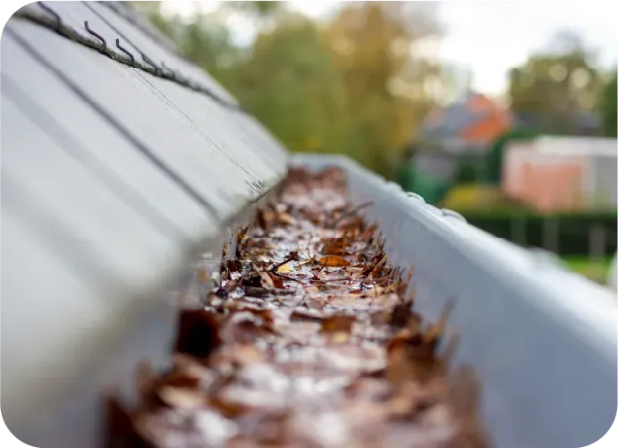 A close up of a gutter with leaves on it