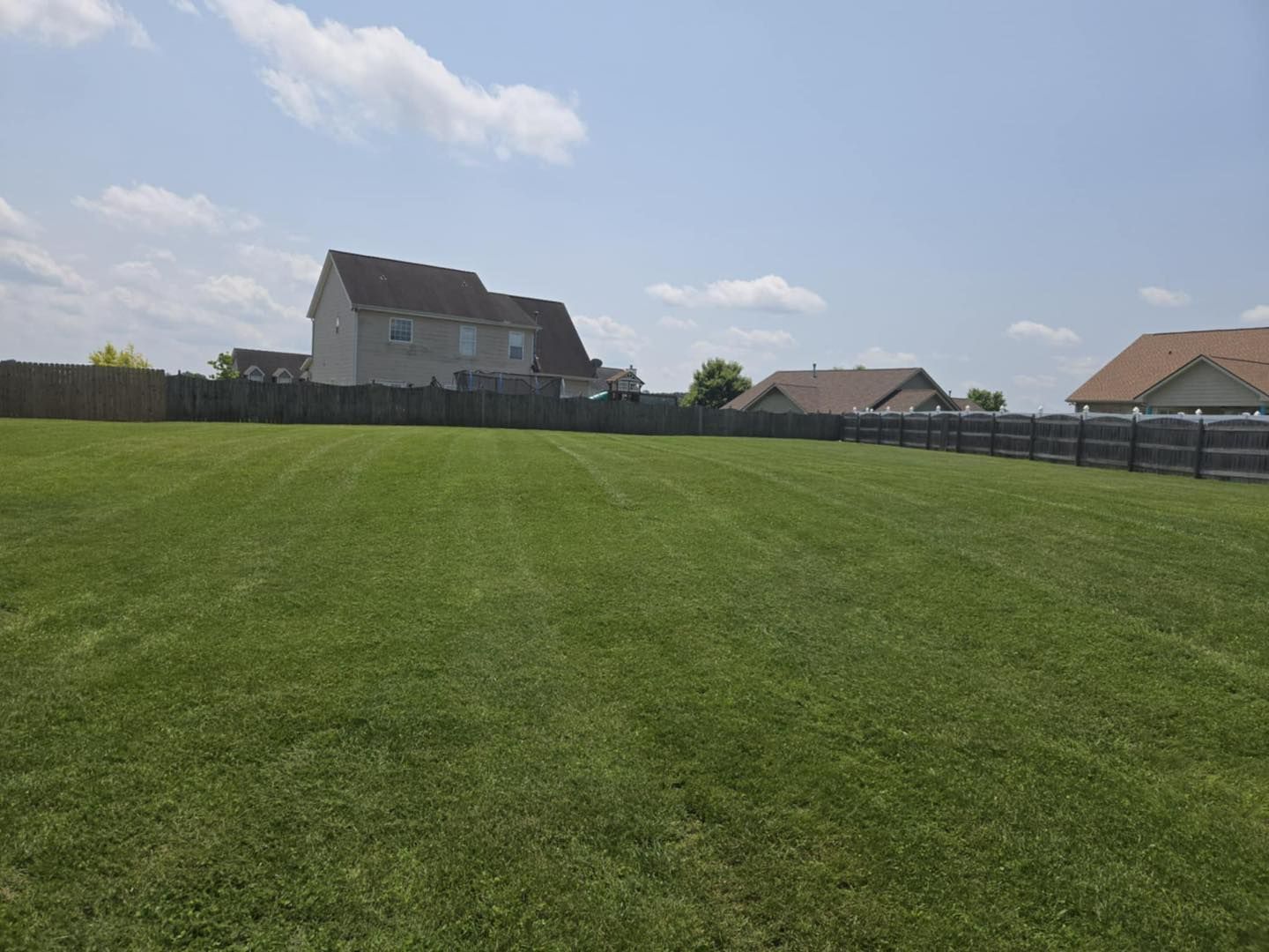 Lush green lawn with freshly cut stripes, fenced in, with houses in the background, under a blue sky.