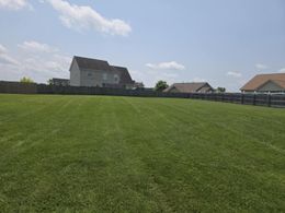 Lush green lawn with freshly cut stripes, fenced in, with houses in the background, under a blue sky.
