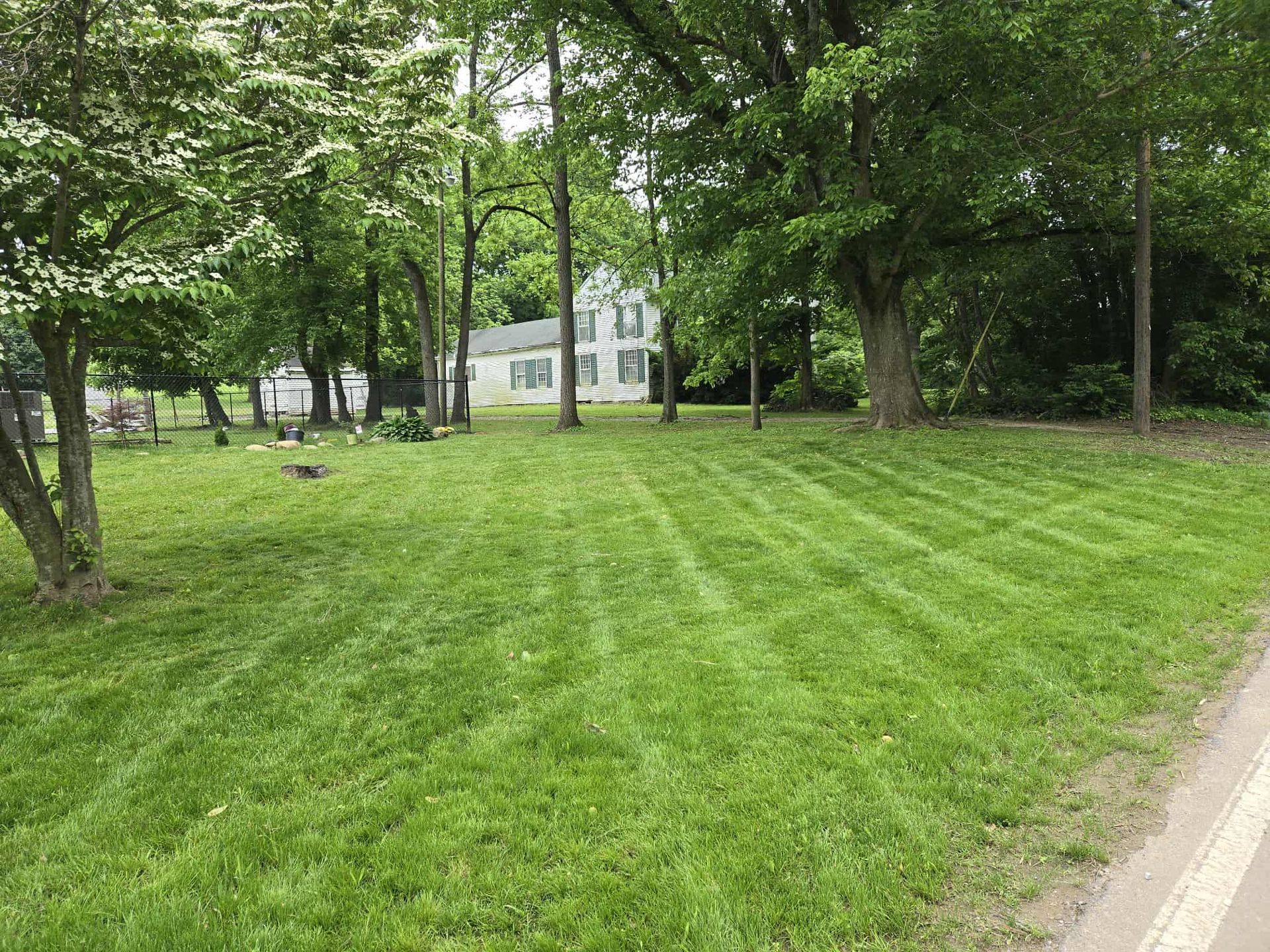 Green lawn with freshly cut grass, trees, and a white house in the background.