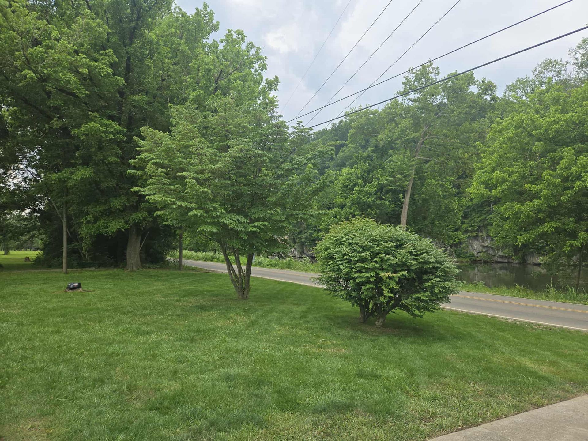 Lush green lawn with trees, bushes, and a pathway next to a body of water under a cloudy sky.