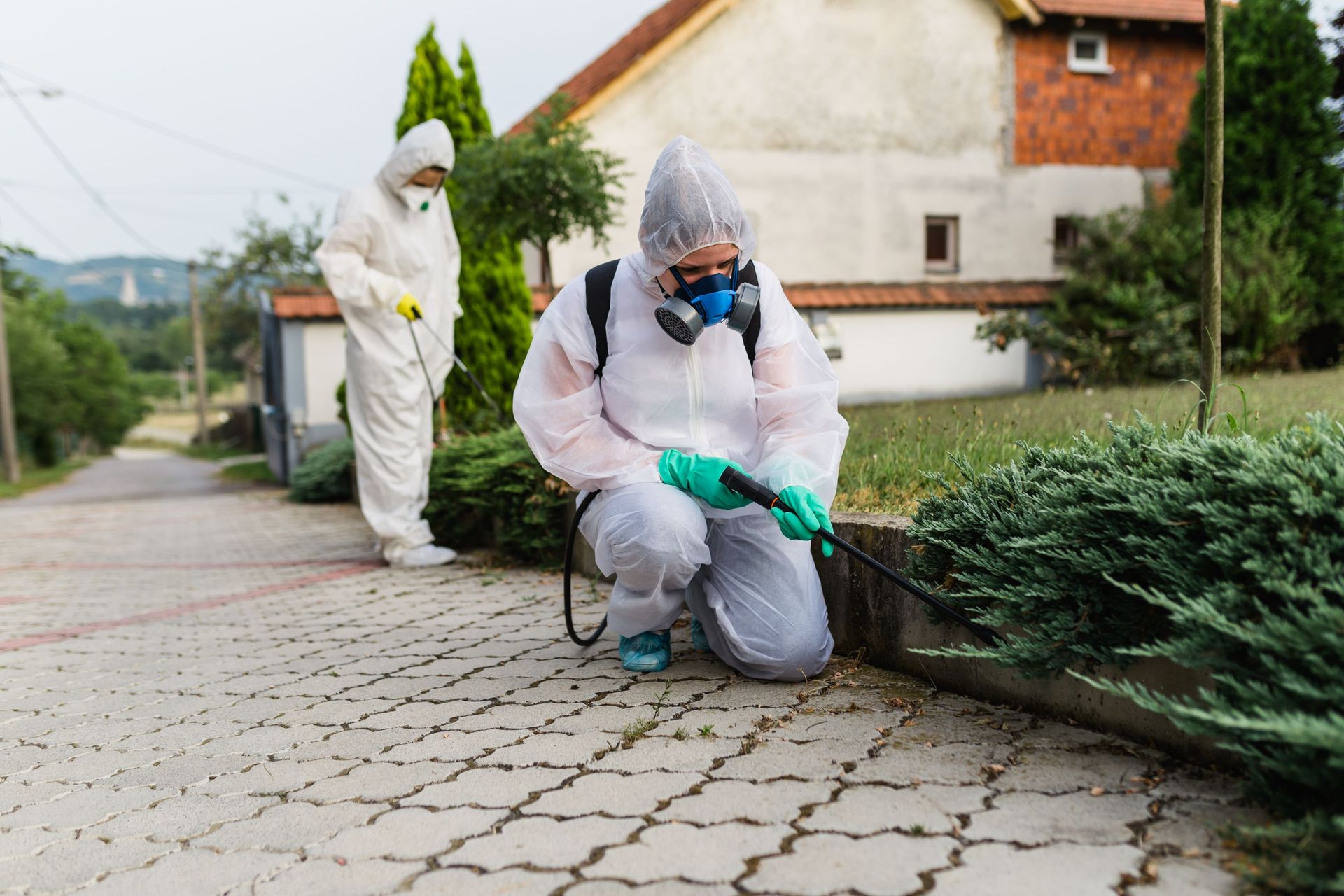 Two people in protective suits spraying pesticide on a residential property.