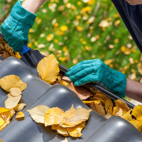 Drain Gutters — Gutter Maintenance in Cottage Grove, OR