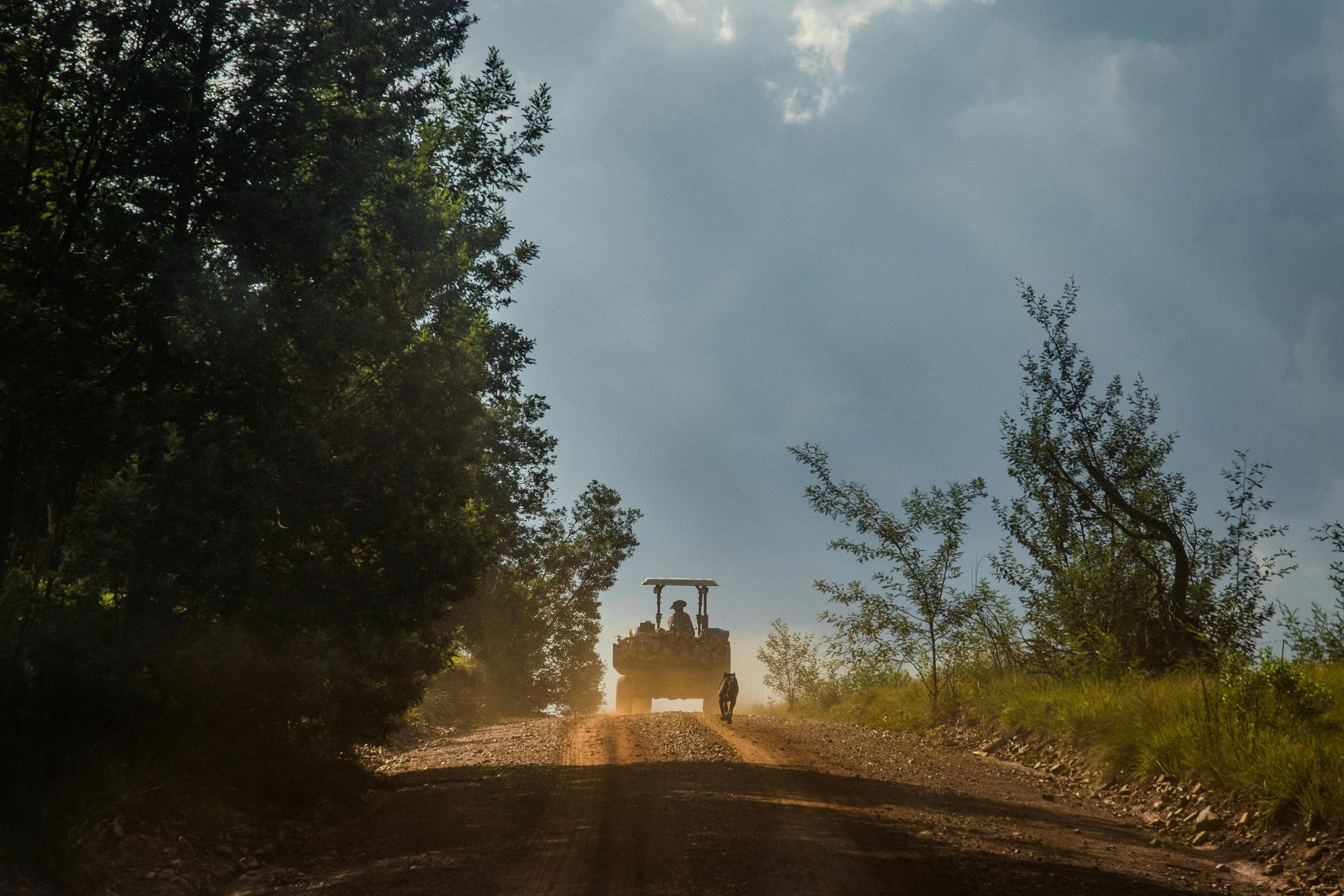Tractor driving down a dusty dirt road, sunlit with trees lining the sides.