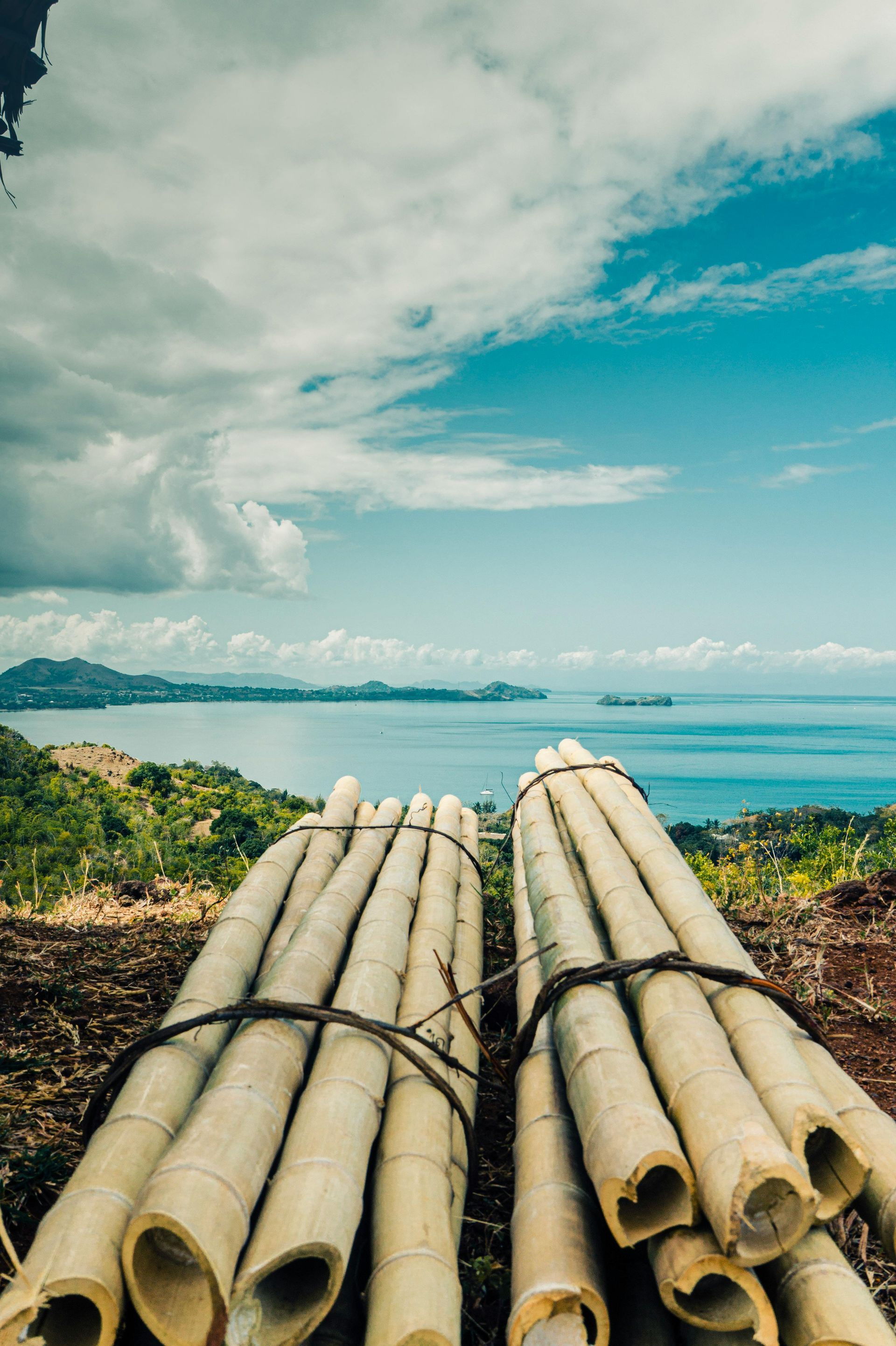 Bundles of bamboo poles on a hillside overlooking a turquoise ocean under a cloudy sky.