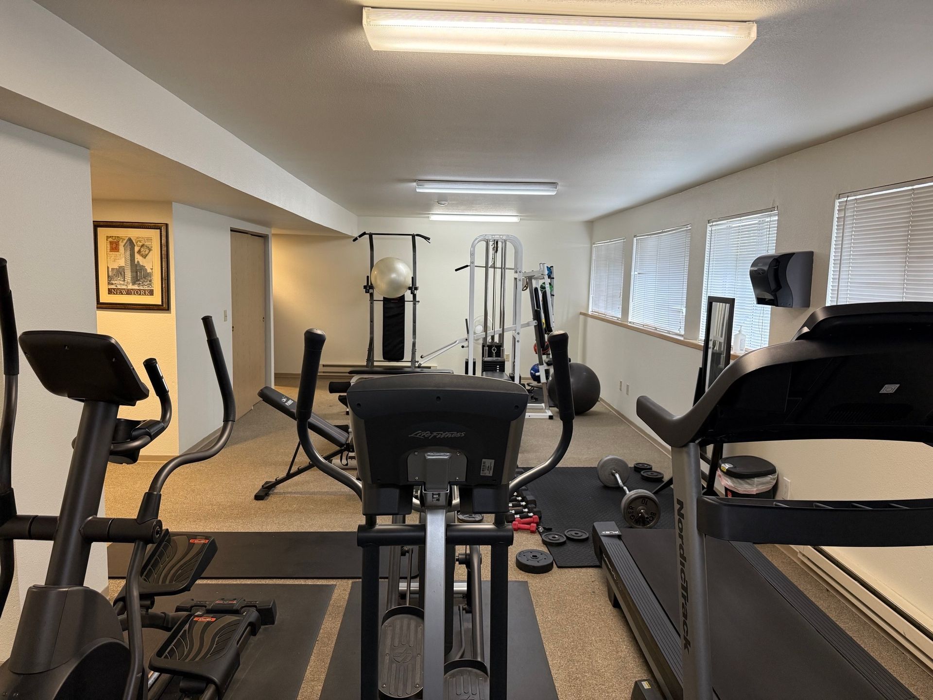 There are many different types of exercise equipment in this gym.