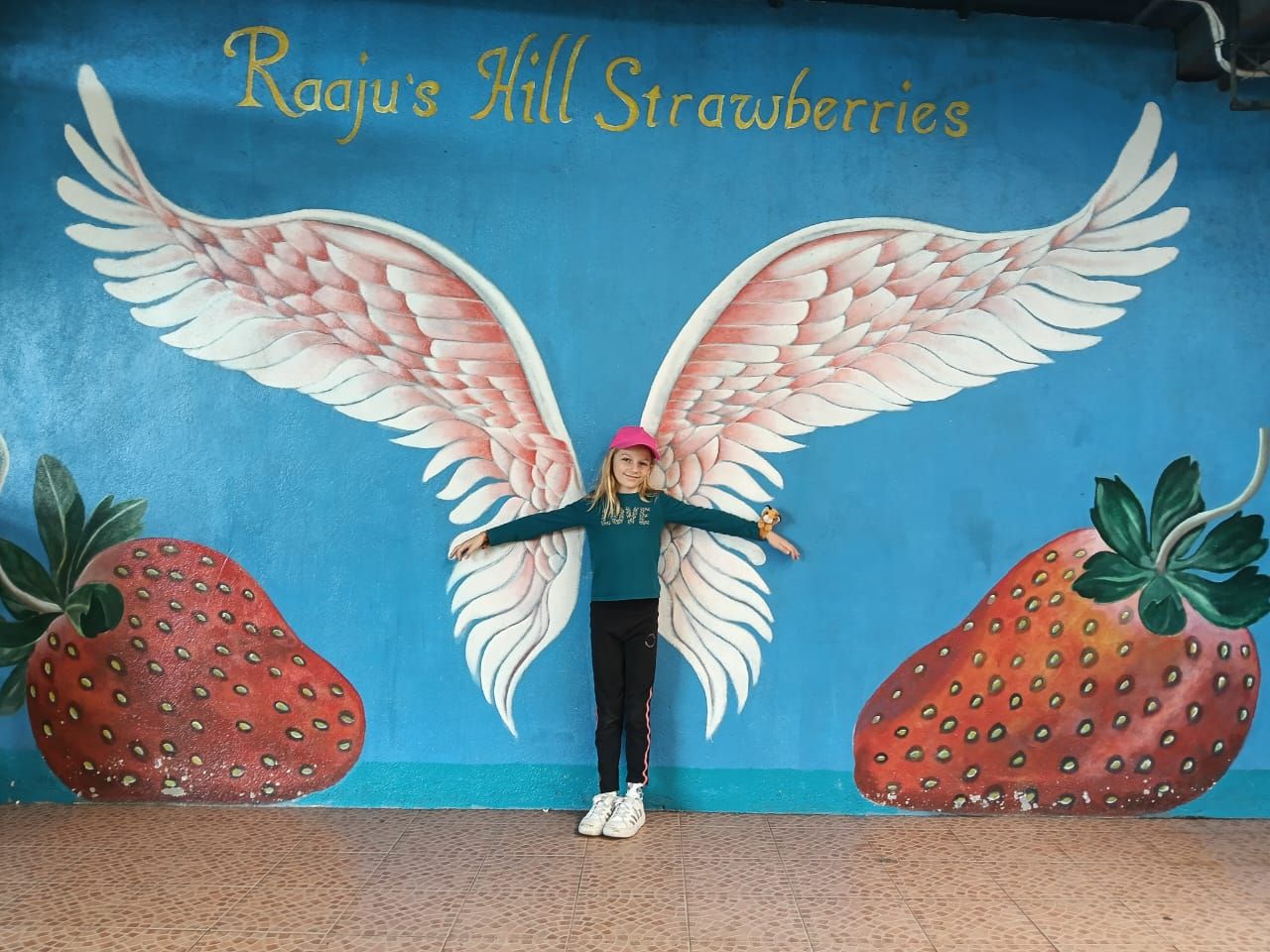 “Raju’s Hill Strawberry Farm Cameron Highlands – Malaysia day tour attraction”