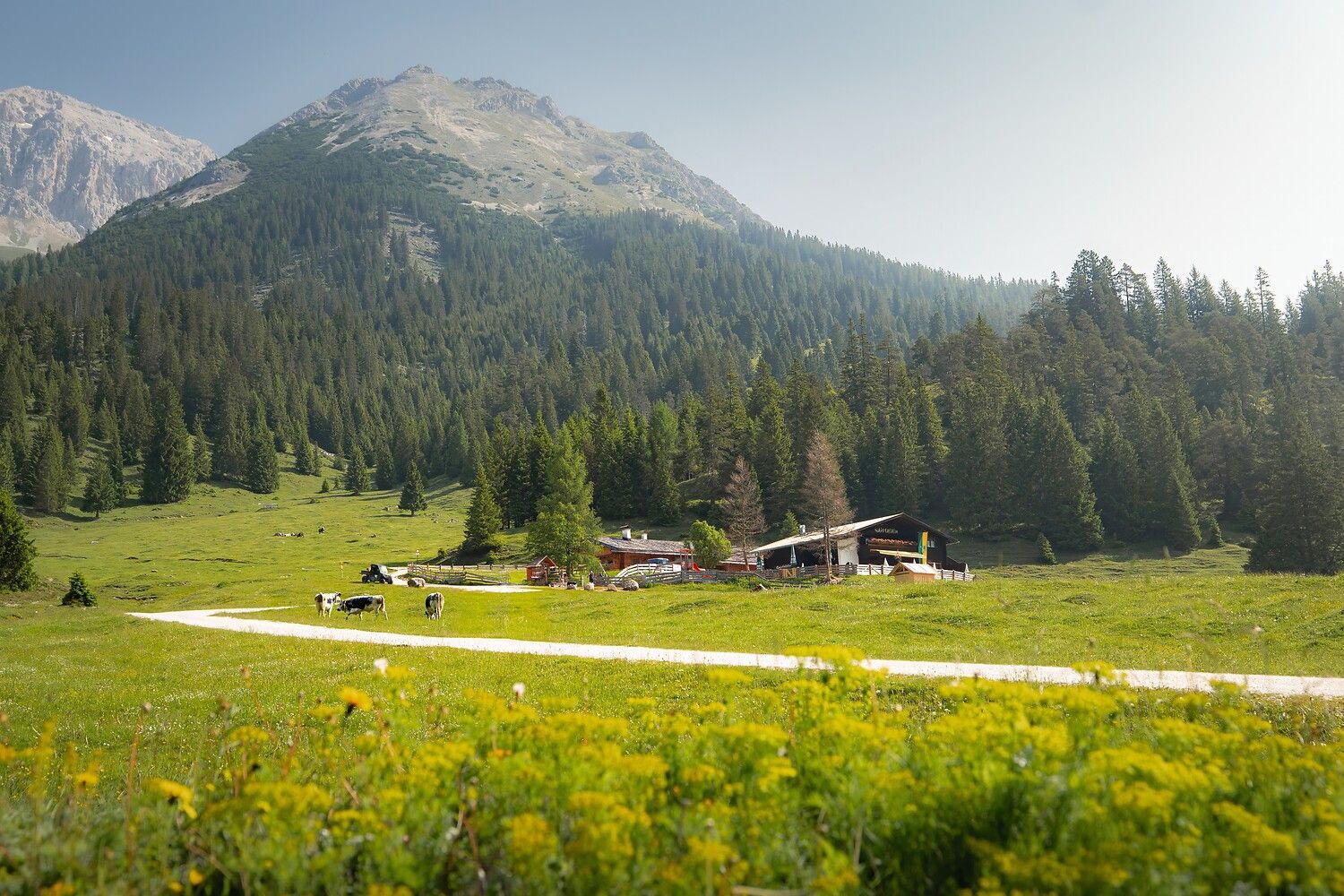 gaistalalm im sommer