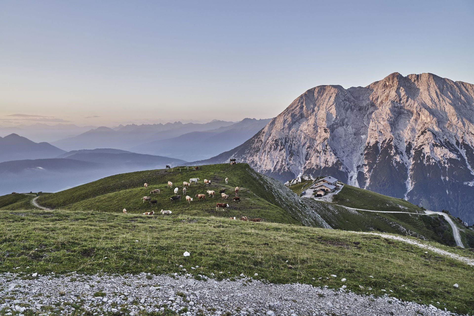 Ein Berg mit viel Gras und Blumen darauf