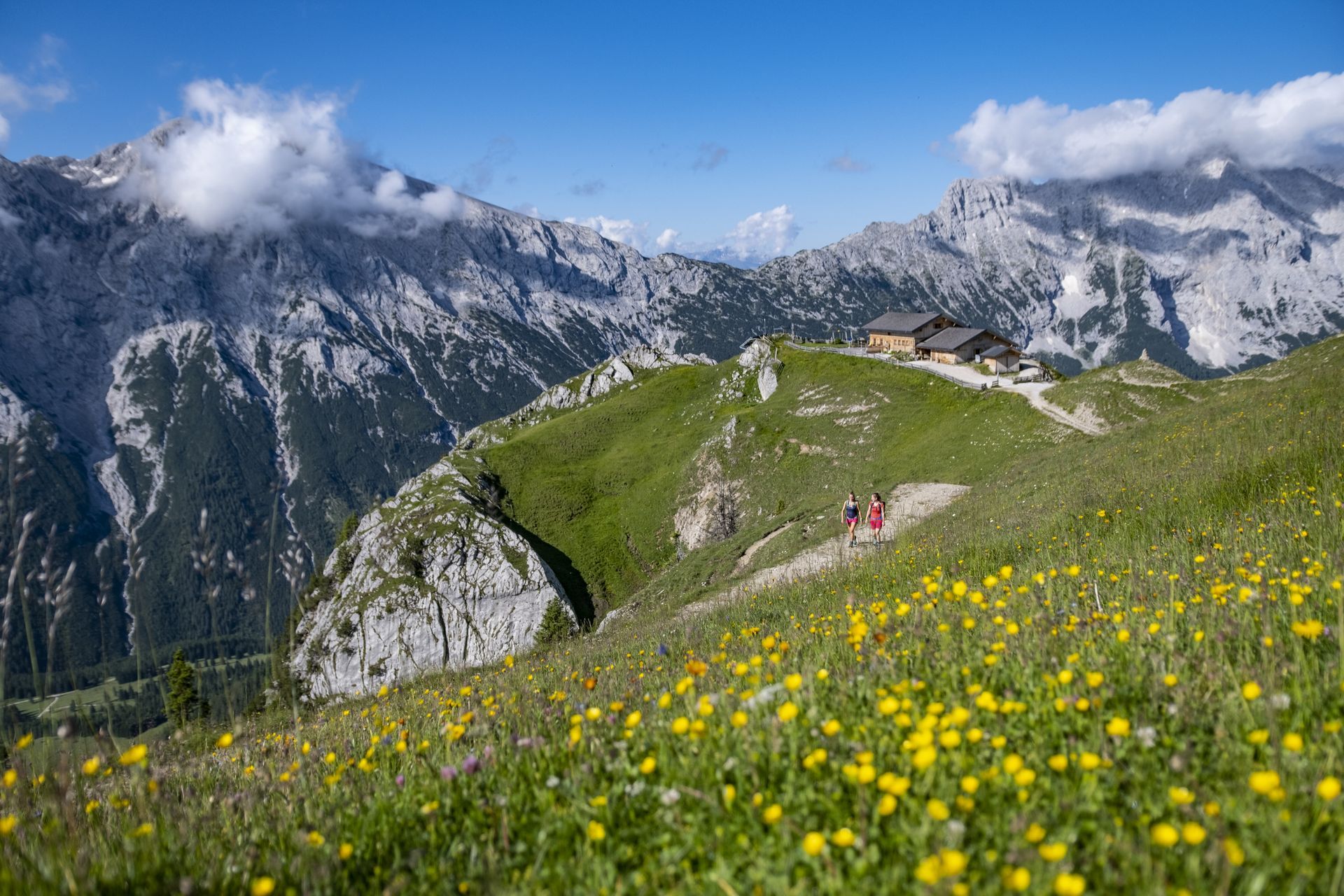 Eine Gruppe von Menschen wandert durch ein Feld mit gelben Blumen in den Bergen.