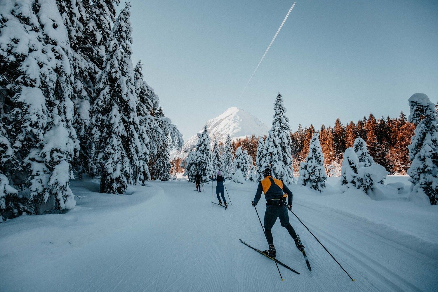 Eine Gruppe Leute läuft im Schnee Skilanglauf.