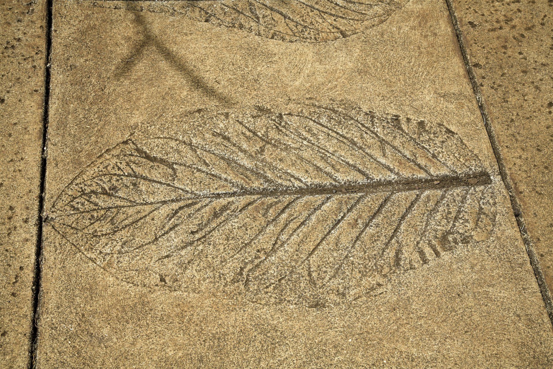 Decorative Stamped Concrete - Umina Beach - Stuart Concreting