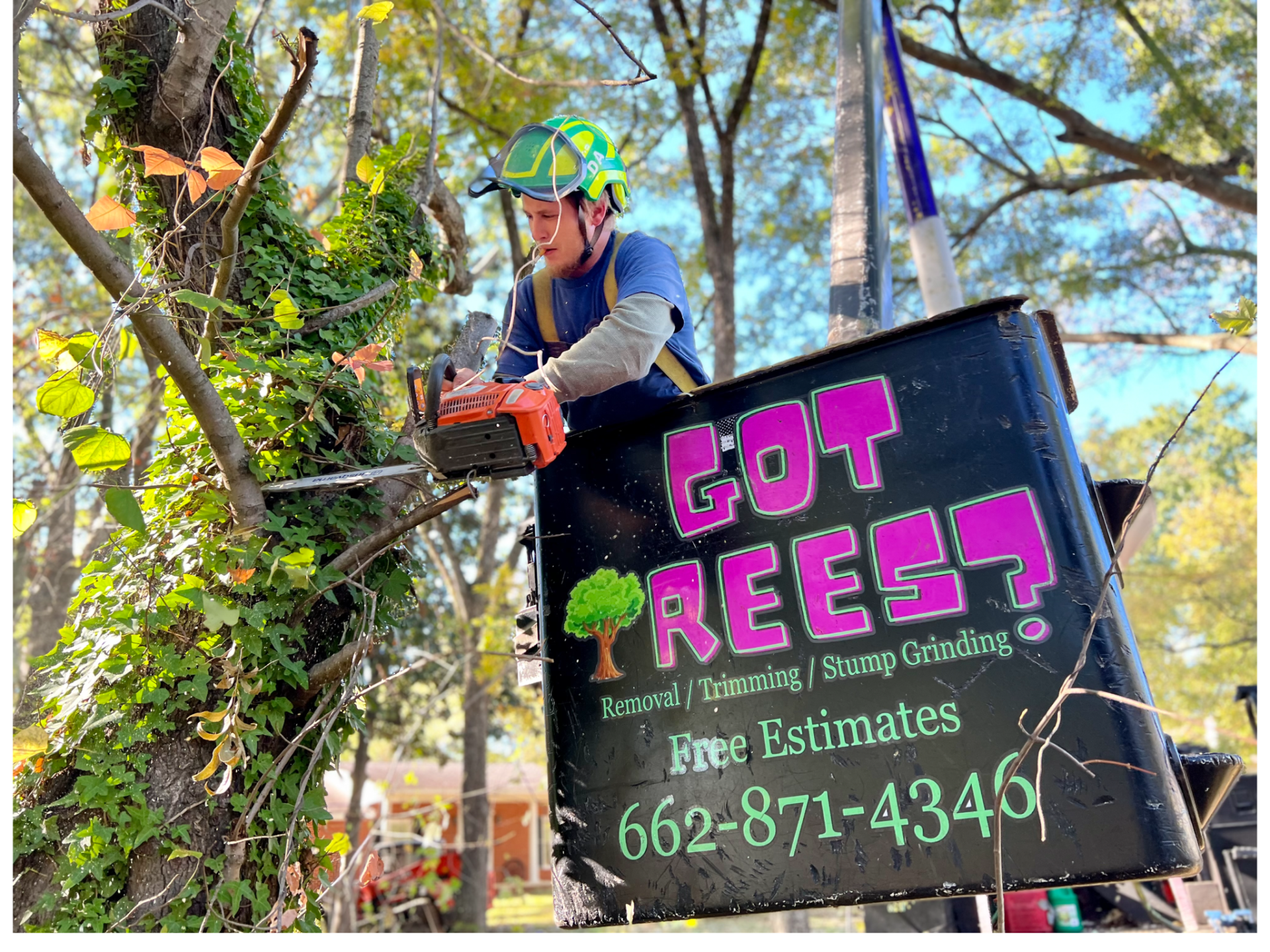 Tree Removal in Tupelo, MS
