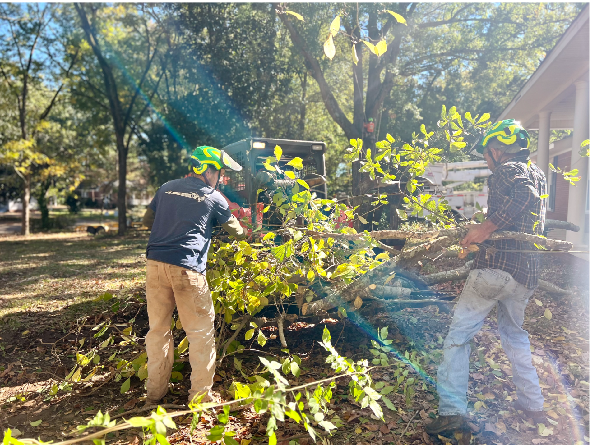 Brush Cutting in Tupelo, MS