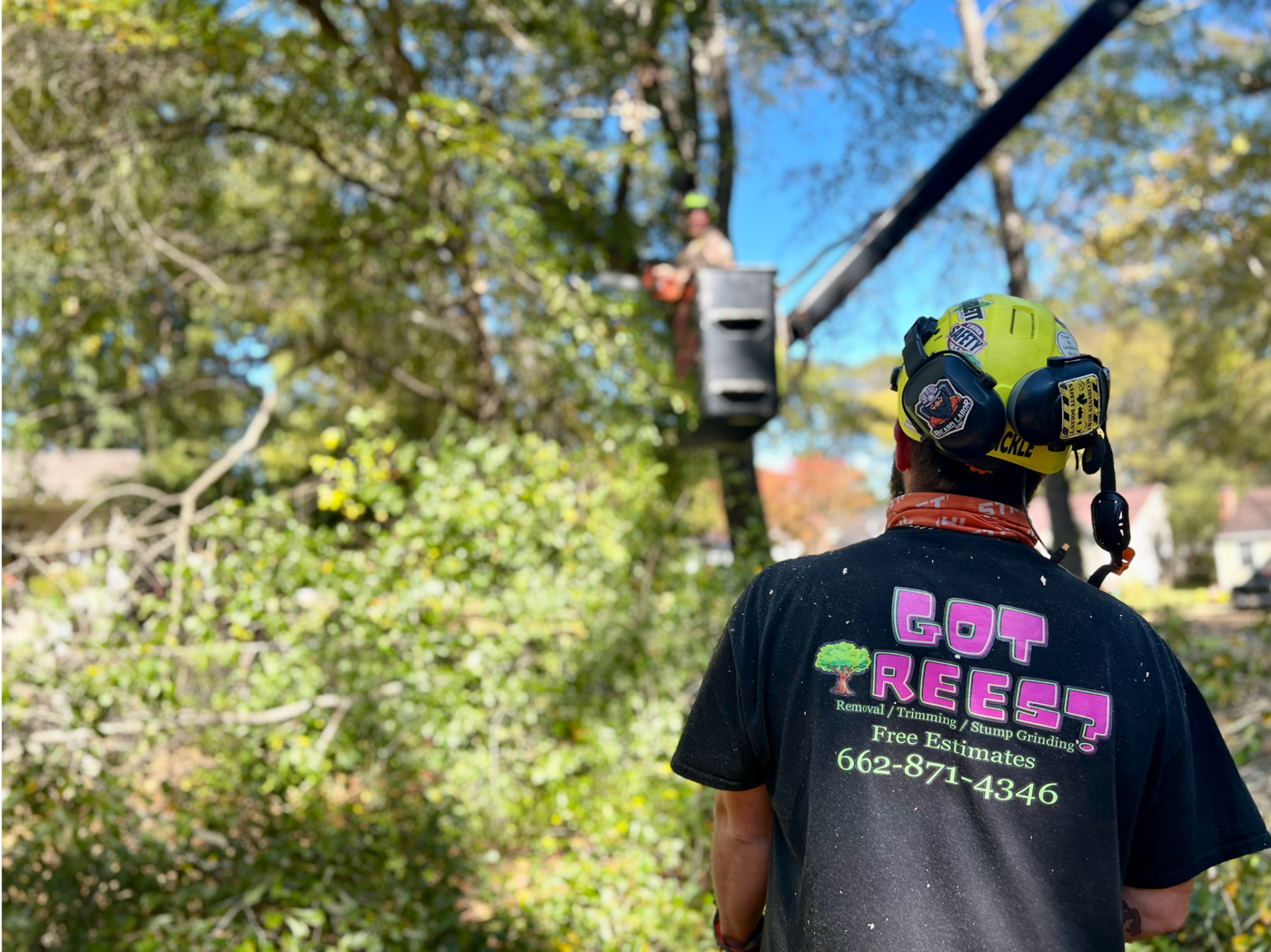 The Cost of Tree Removal in Tupelo, MS - Trust Got Trees