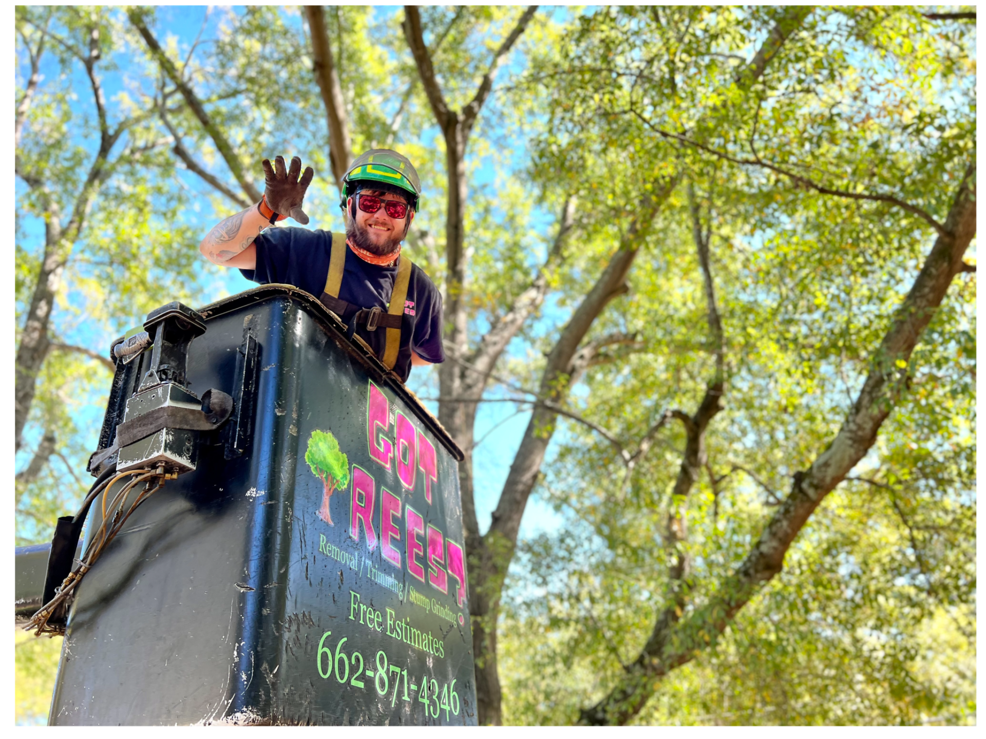 Tree Service in Tupelo, MS