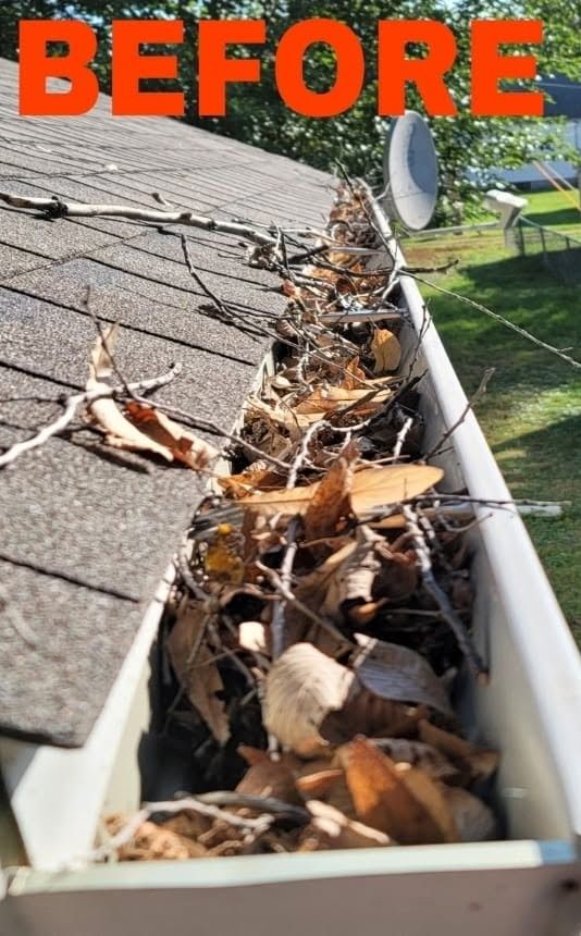 Clogged rain gutter filled with leaves and twigs on a house roof, labeled “BEFORE”