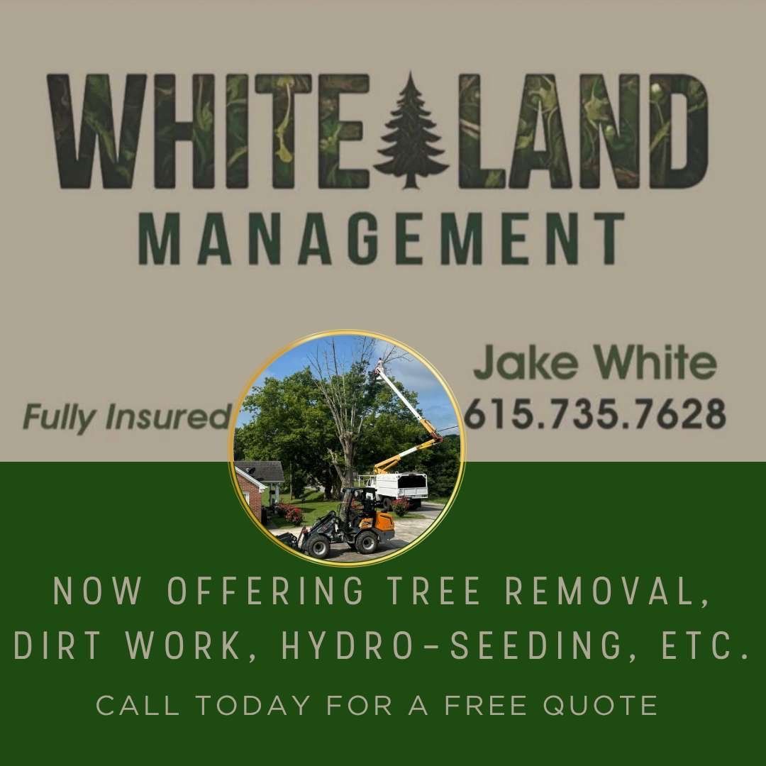 An advertisement for white land management offering tree removal dirt work hydro-seeding etc.