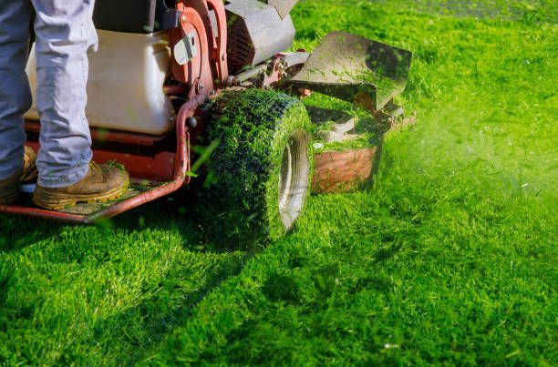 person mowing lawn with green grass