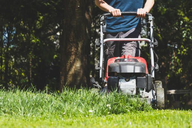 A man is mowing a lush green lawn with a lawn mower.