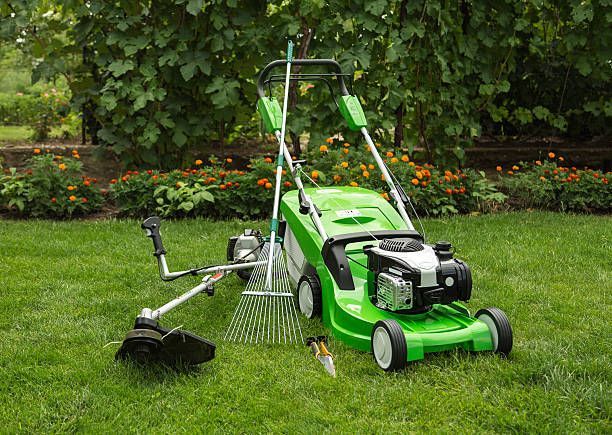 A green lawn mower is sitting on top of a lush green lawn.