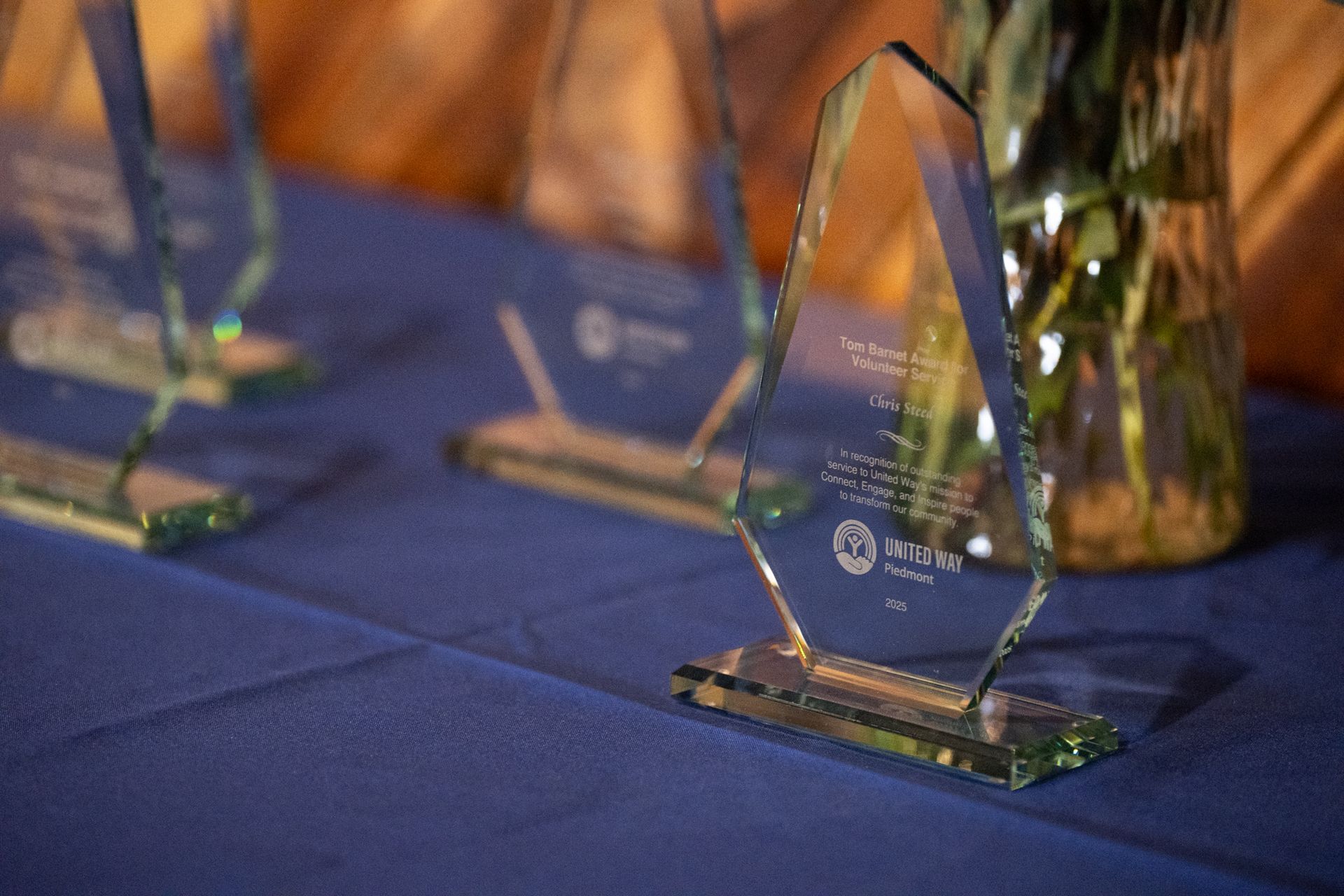 Volunteer Celebration awards