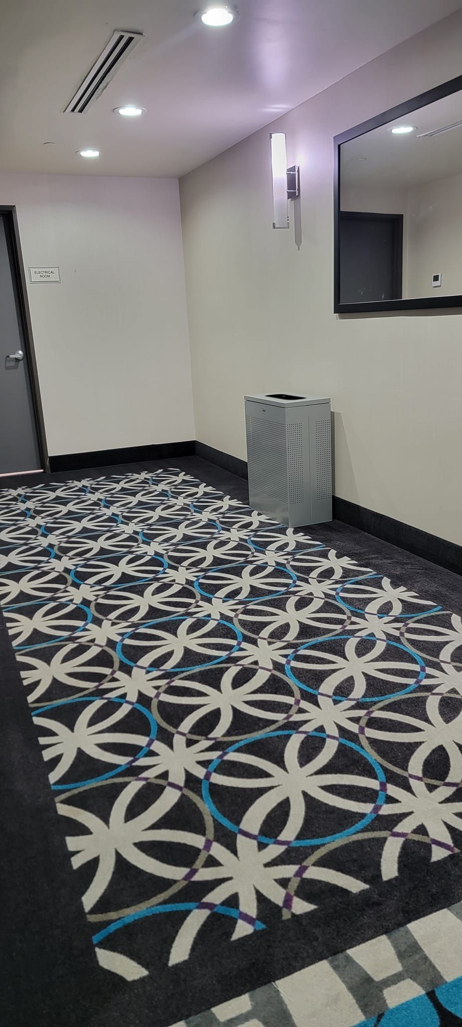 A hallway with a rug and a mirror in a hotel room.
