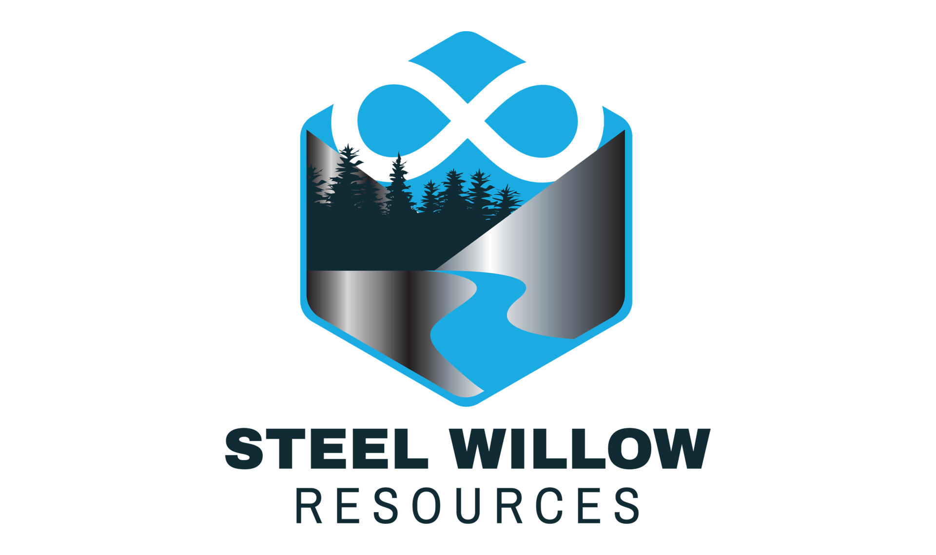 steel willow logo