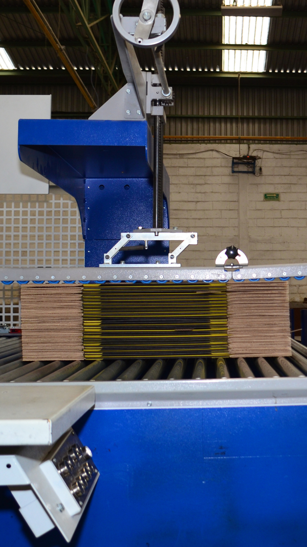  TUBOS Y EMPAQUES DE PUEBLA, S.A. DE C.V.