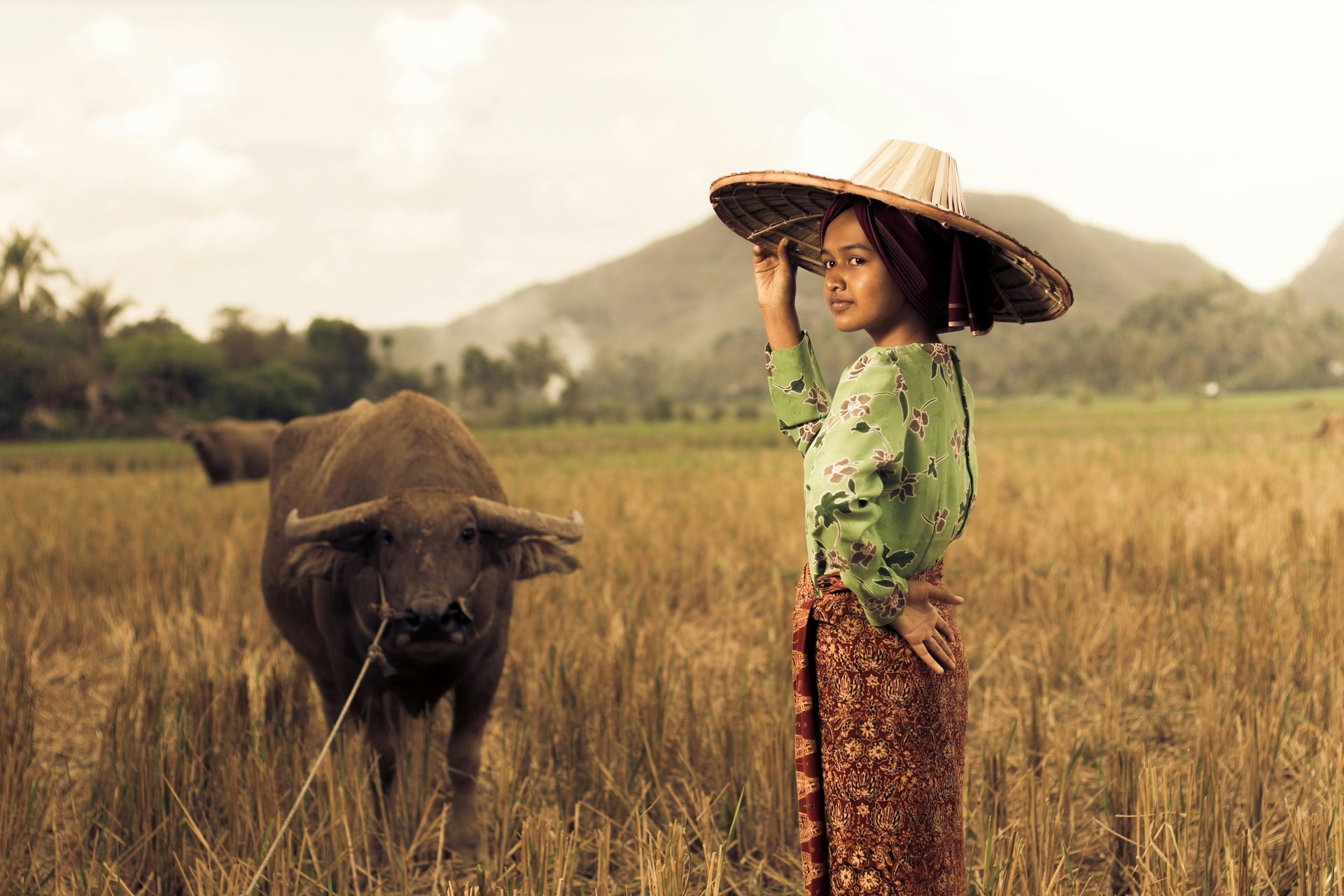 A woman is standing next to a water buffalo in a field.