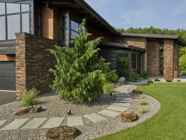 A large lush green lawn surrounded by trees and bushes in a backyard.