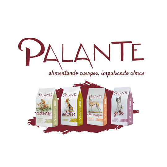 Bolsas de comida para perros alineadas, con la marca