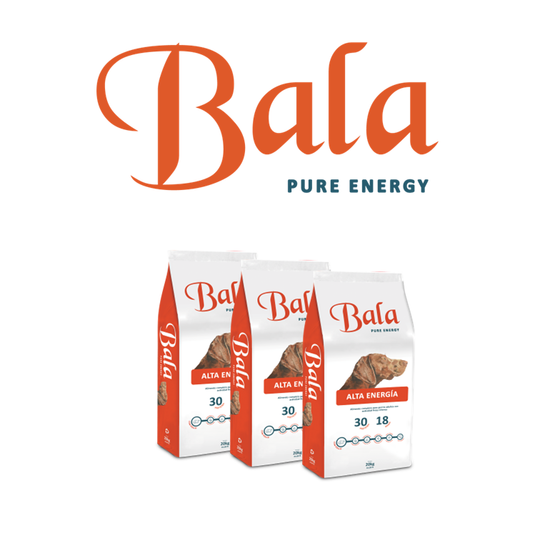 Tres bolsas de comida para perros Bala bajo un logotipo naranja. Bolsas blancas con ilustración y texto de un perro.