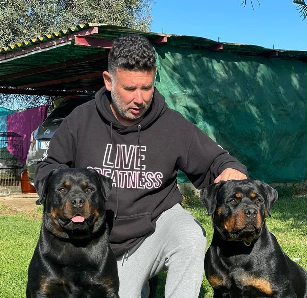 Un homme est agenouillé sur l'herbe avec deux rottweilers. Il porte un sweat à capuche noir.