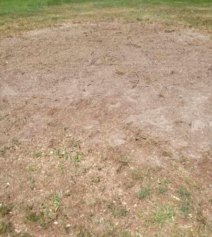 a field with a lot of dirt and grass on it .