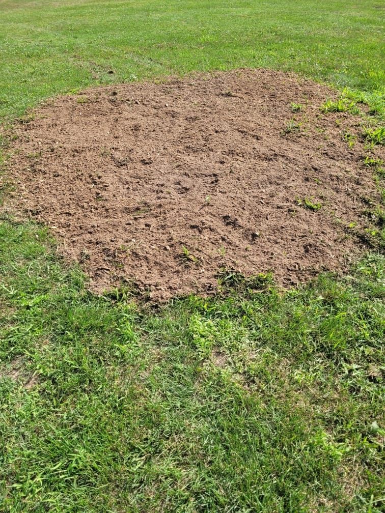 a large pile of dirt is in the middle of a lush green field .