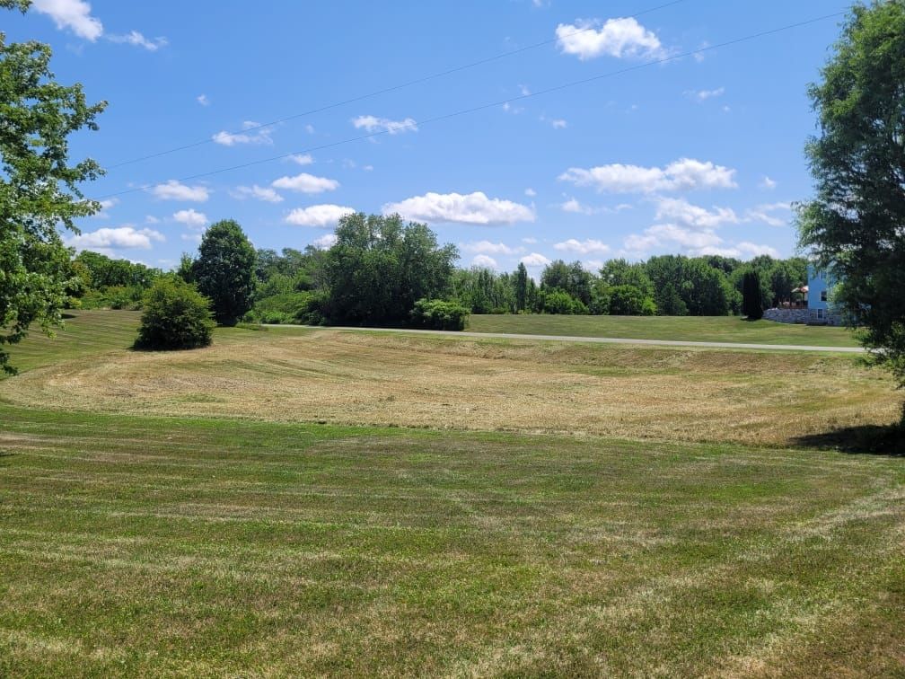 a large grassy field with trees in the background on a sunny day .