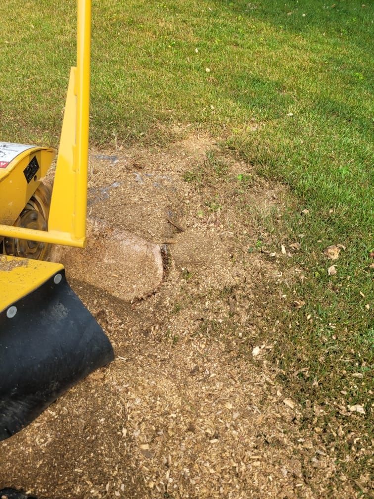 a yellow stump grinder is cutting a tree stump in the grass .