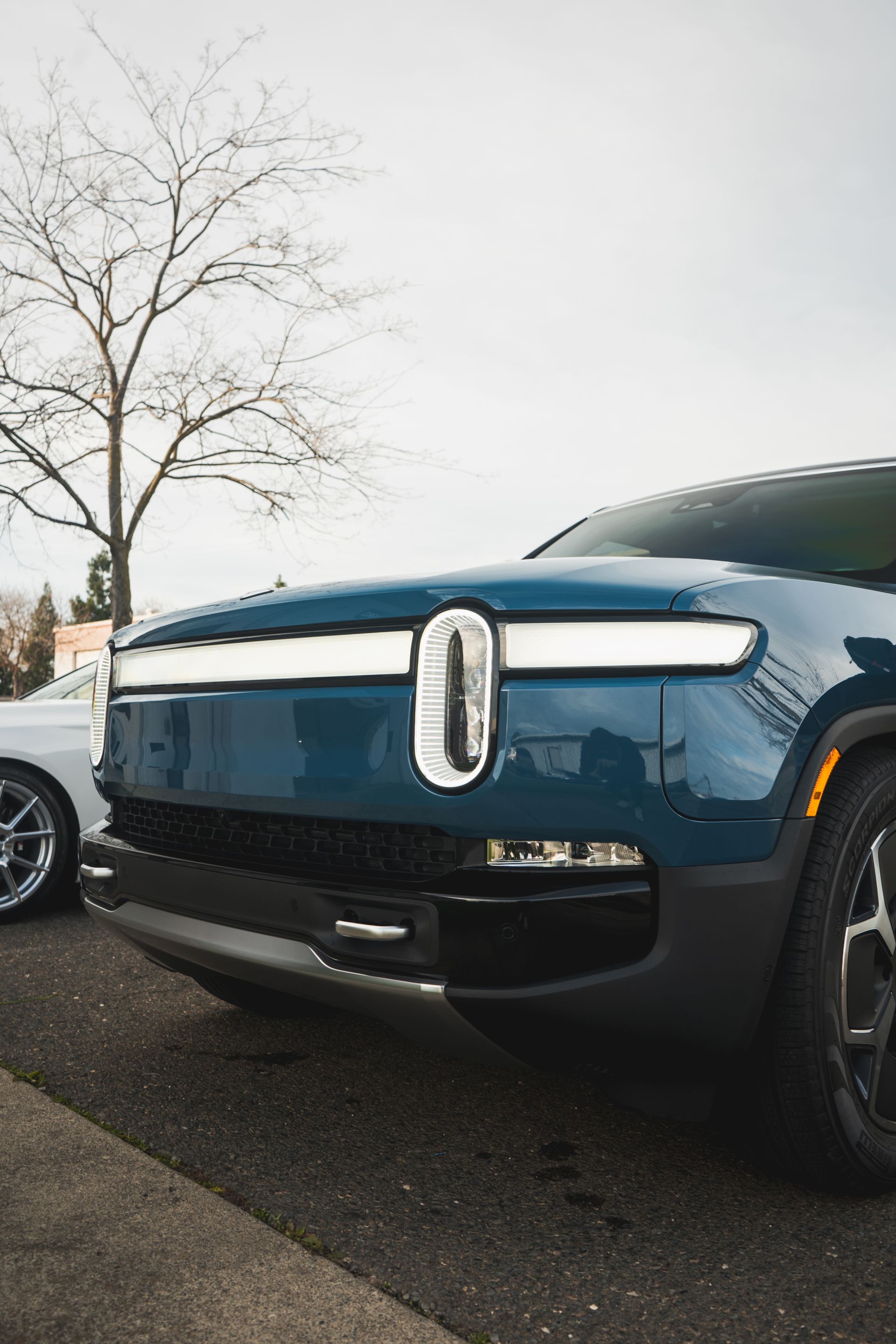 A blue car is parked next to a white car in a parking lot.