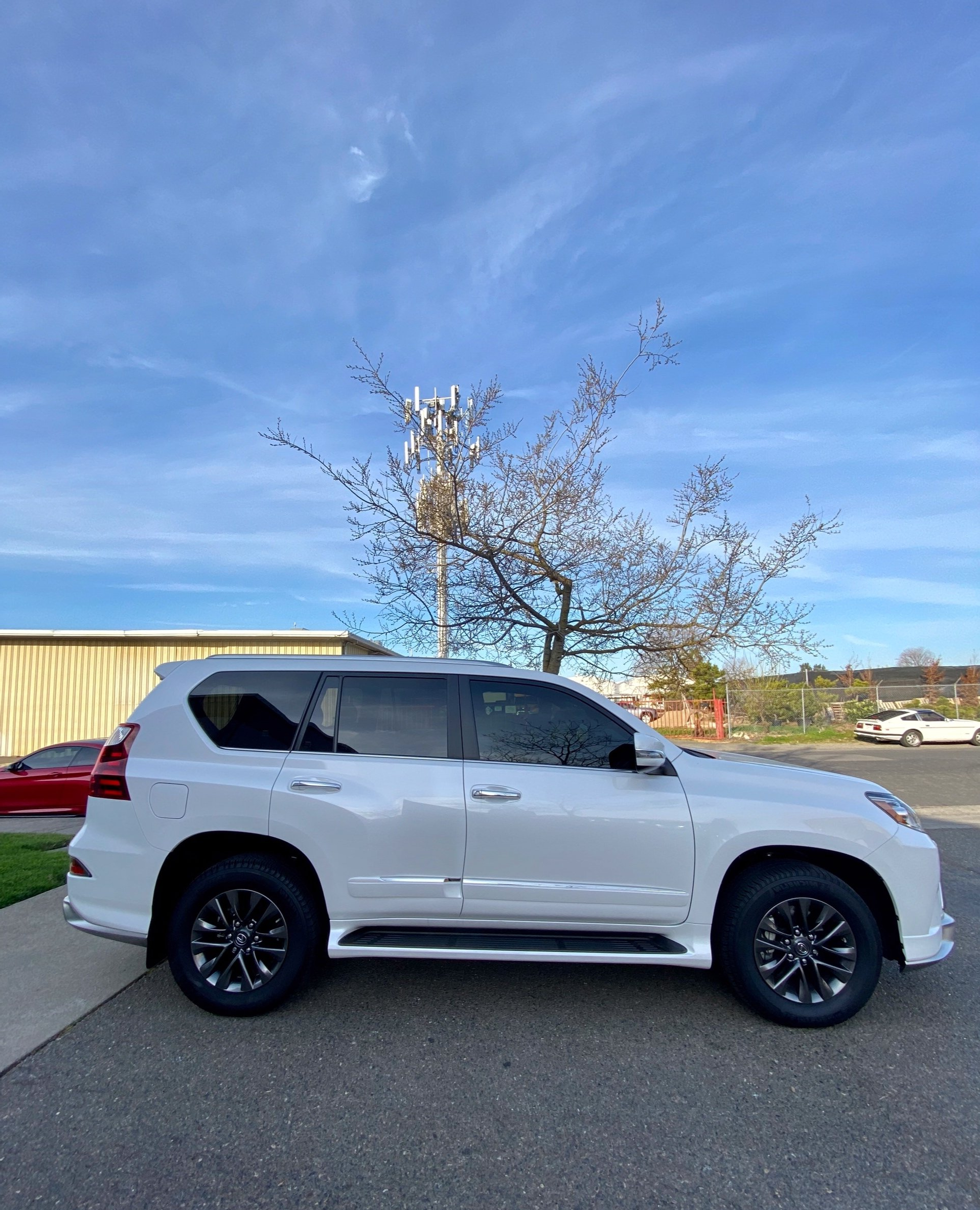 A white suv is parked in a parking lot next to a tree.