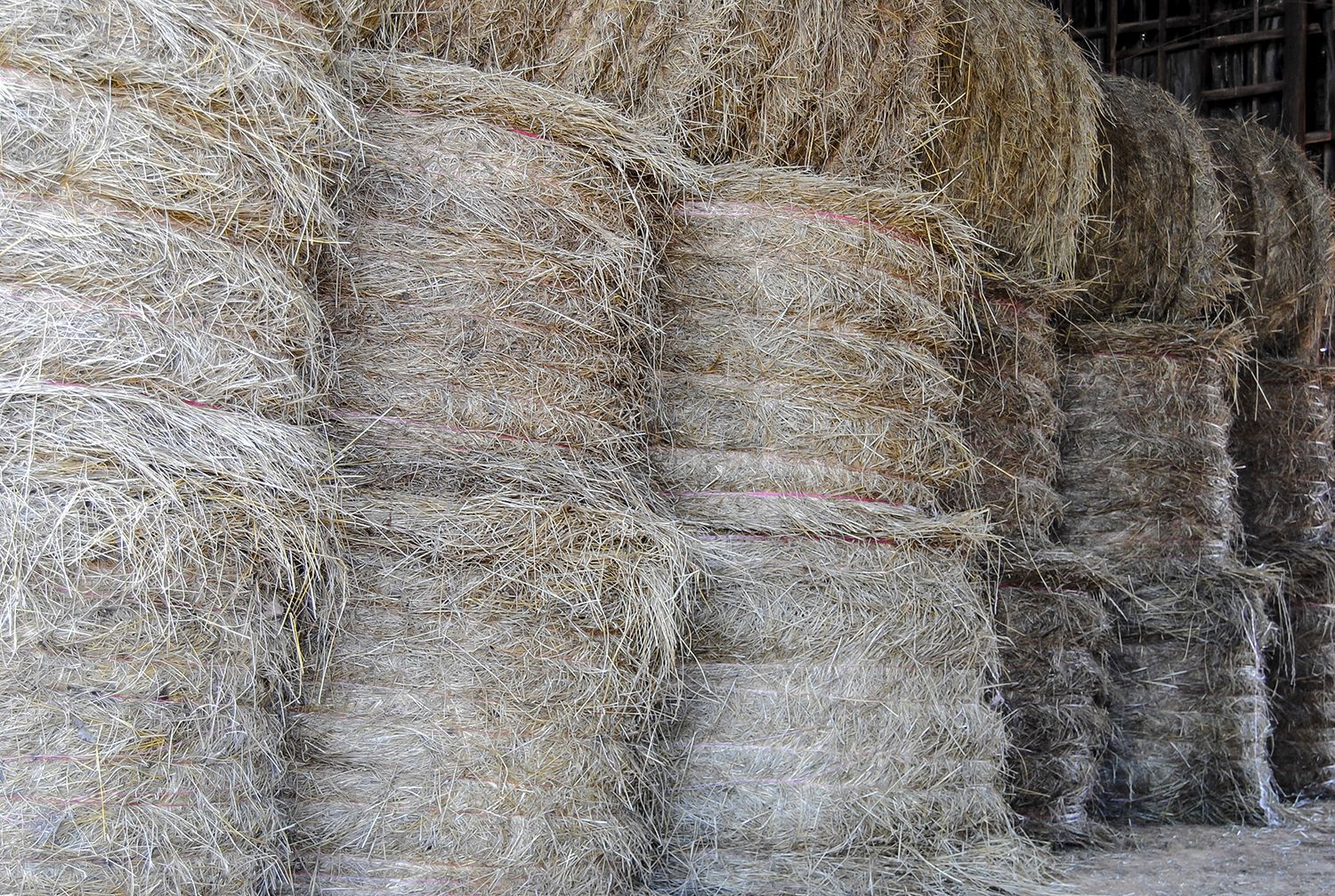 Stacked round hay bales stored indoors, showing tightly bound straw layers.