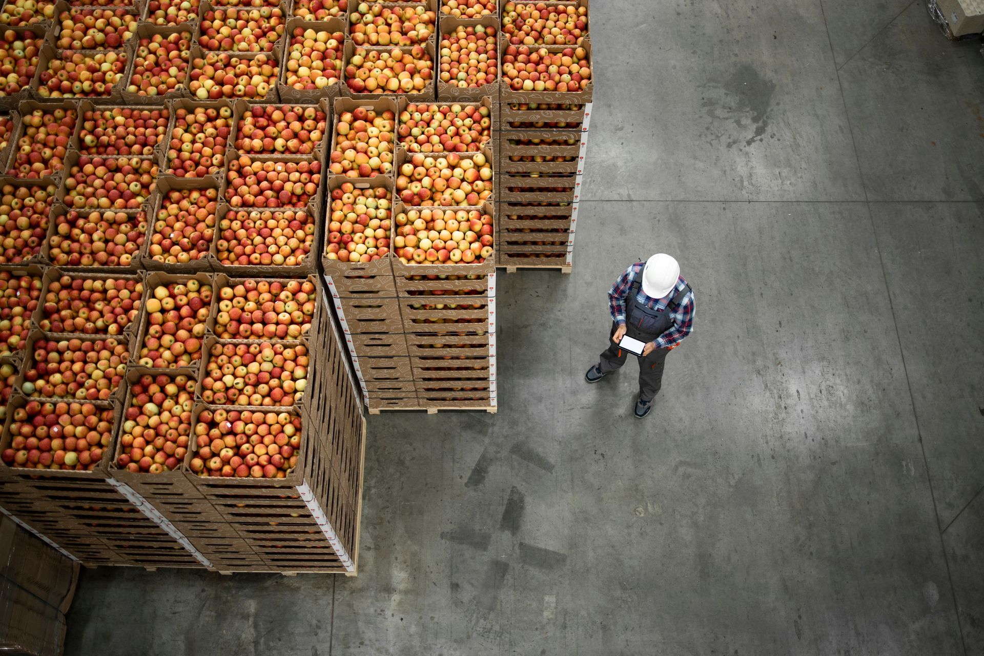 Wholesale agriculture supplies warehouse with stacked crates of apples and worker in safety gear. Wholesale agriculture supplies warehouse with stacked crates of apples and worker in safety gear.
