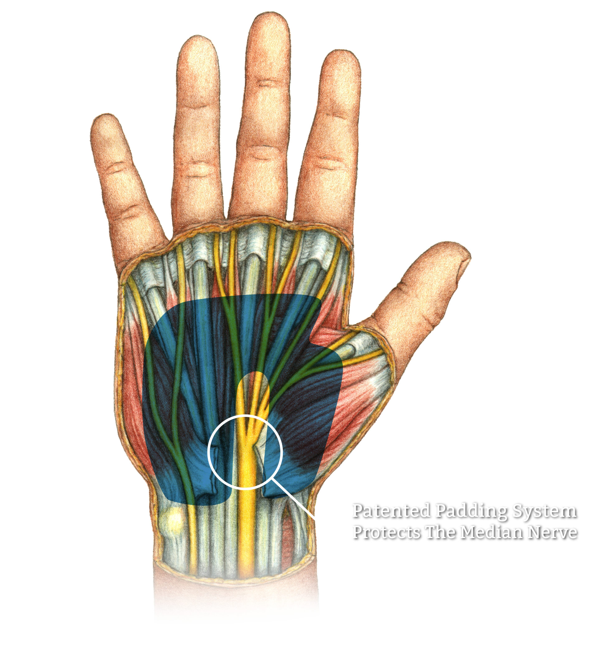 shock•tek™, patented padding system, median nerve, protection,