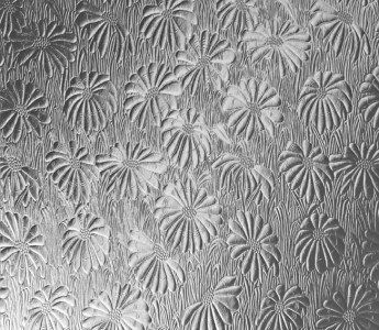 Mayflower – Level 4